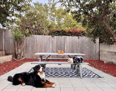 Play & Stay! Pet-Friendly SD Gem w/ Yard